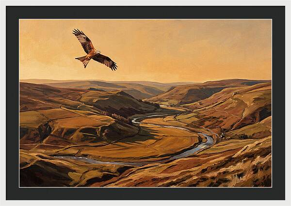 Red Kite Soaring Above Valleys