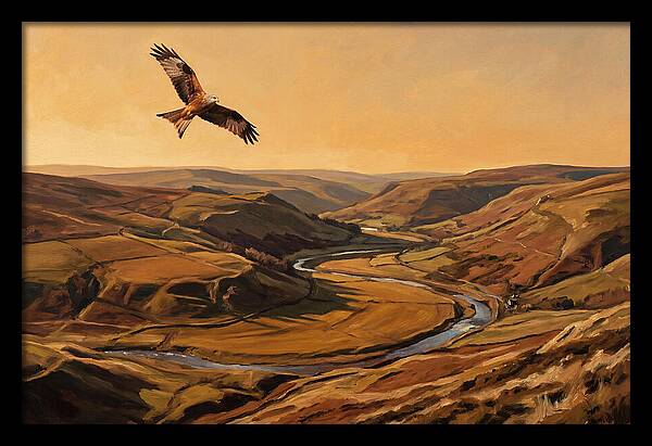 Red Kite Soaring Above Valleys