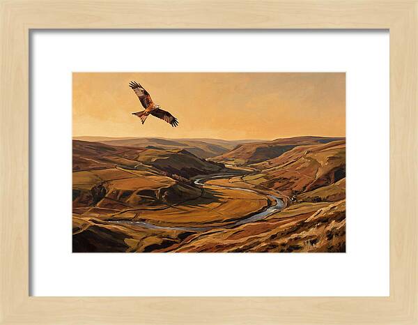 Red Kite Soaring Above Valleys
