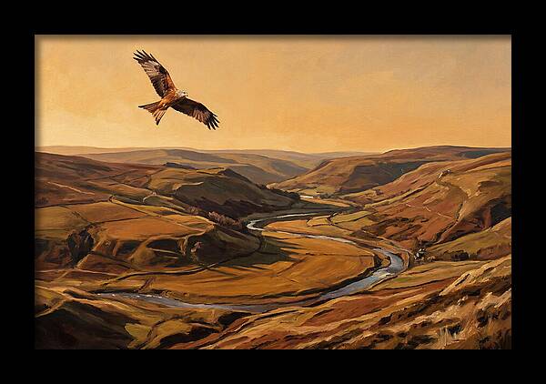 Red Kite Soaring Above Valleys