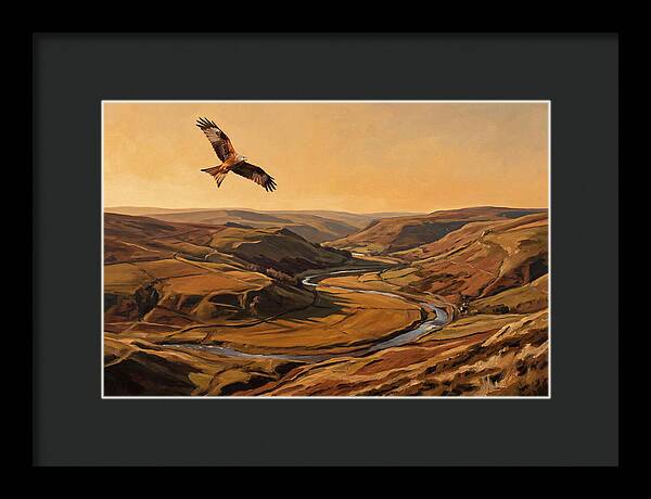 Red Kite Soaring Above Valleys