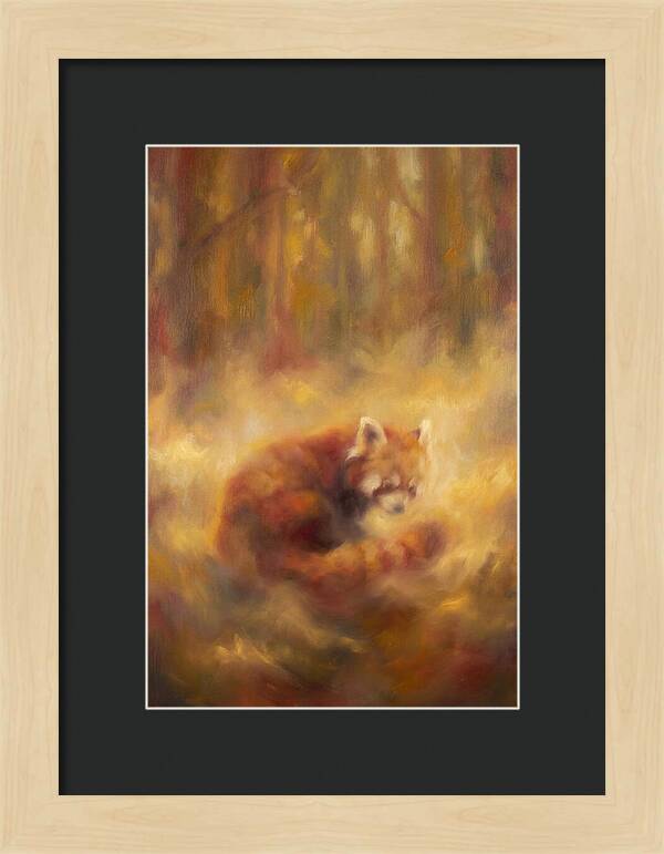 Red Panda In Autumn