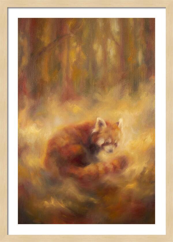 Red Panda In Autumn