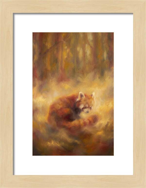 Red Panda In Autumn
