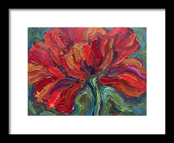 Red Poppy Bloom