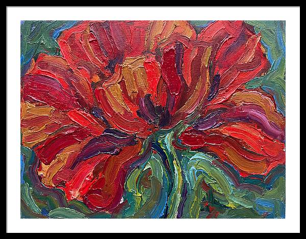 Red Poppy Bloom