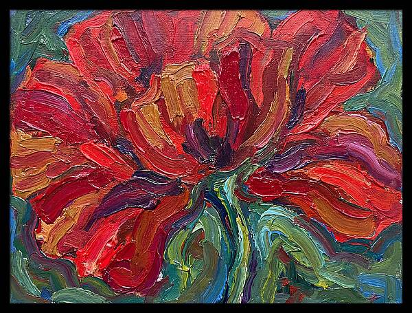 Red Poppy Bloom
