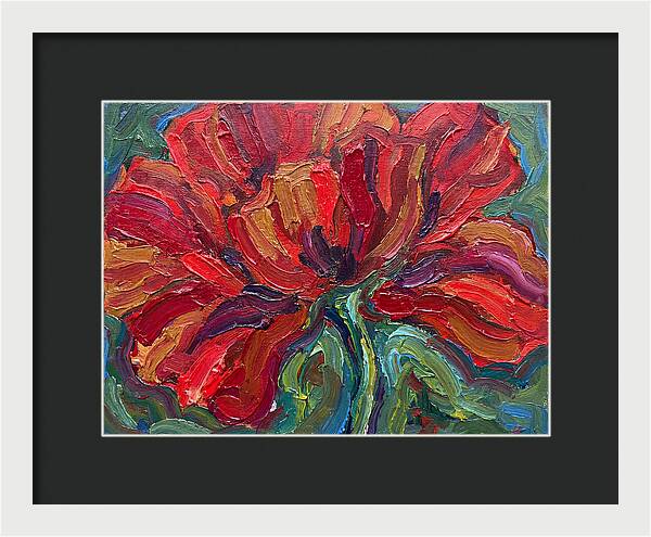 Red Poppy Bloom