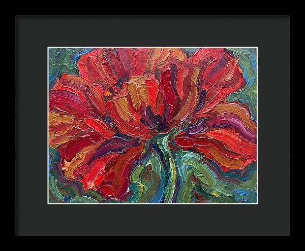 Red Poppy Bloom