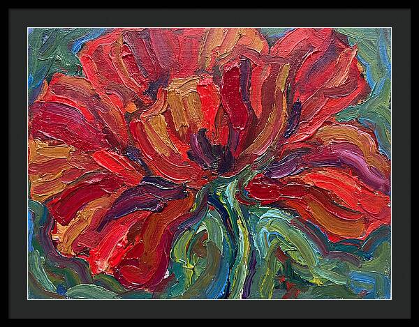 Red Poppy Bloom