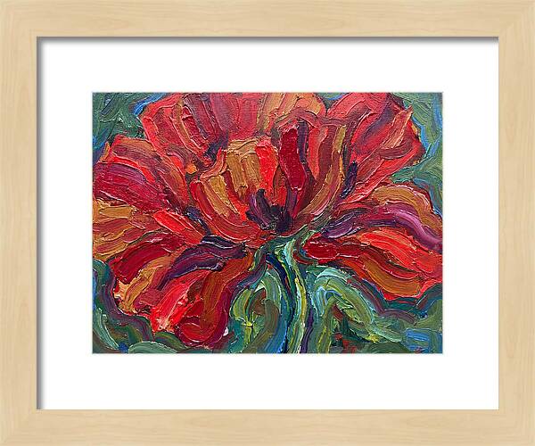 Red Poppy Bloom