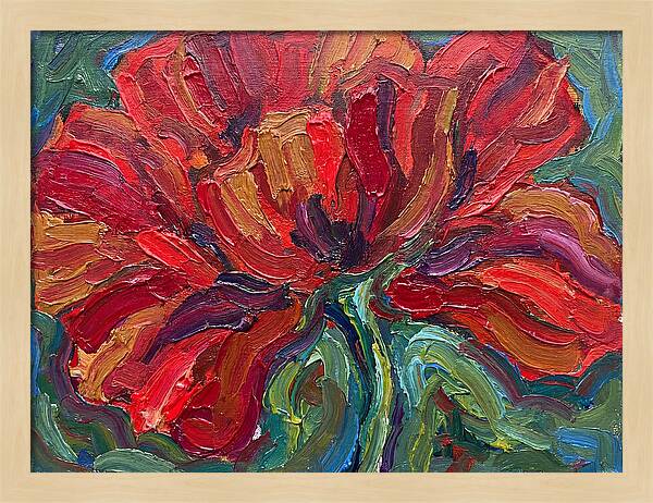 Red Poppy Bloom