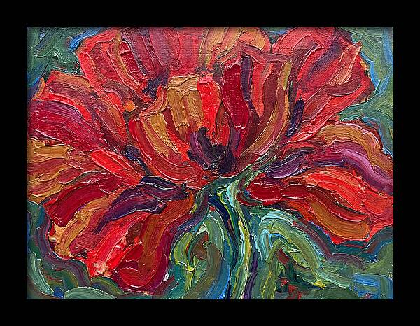 Red Poppy Bloom