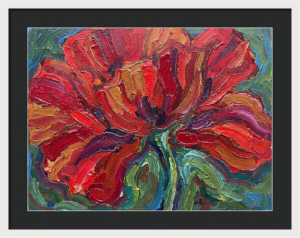 Red Poppy Bloom