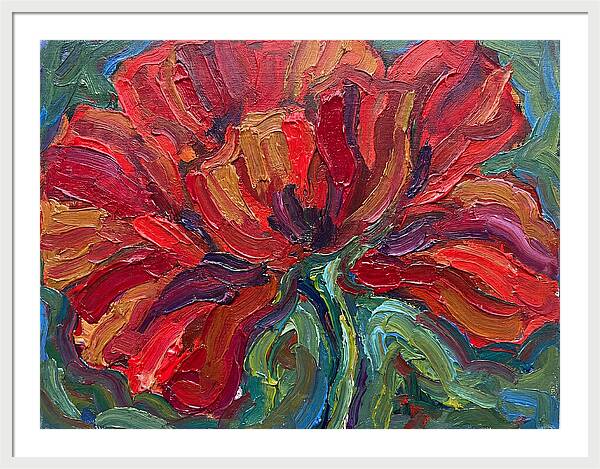 Red Poppy Bloom