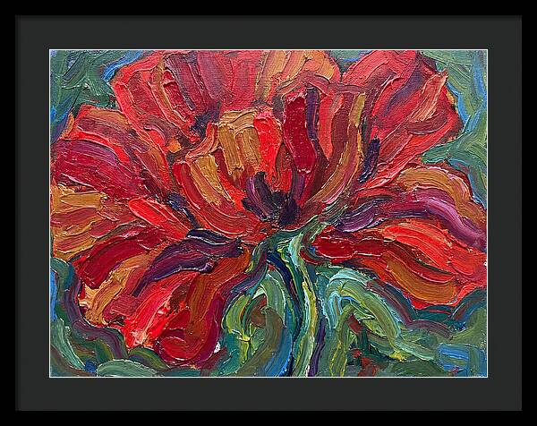 Red Poppy Bloom