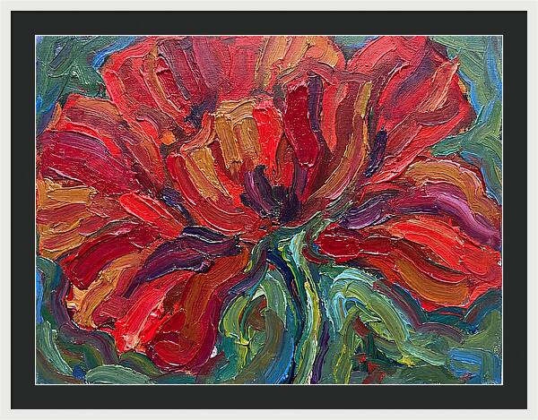 Red Poppy Bloom