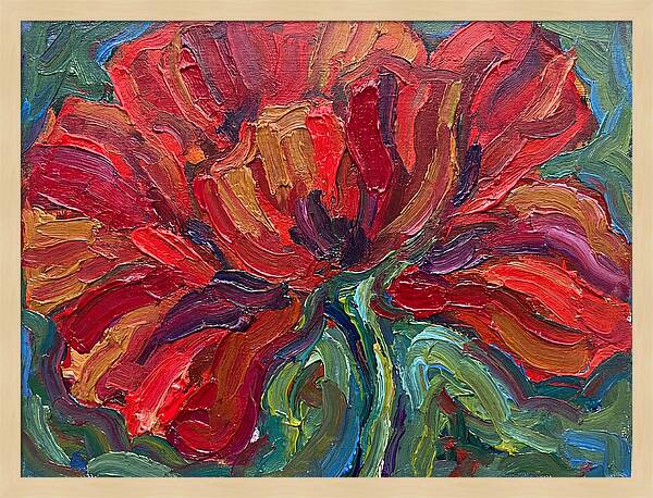 Red Poppy Bloom
