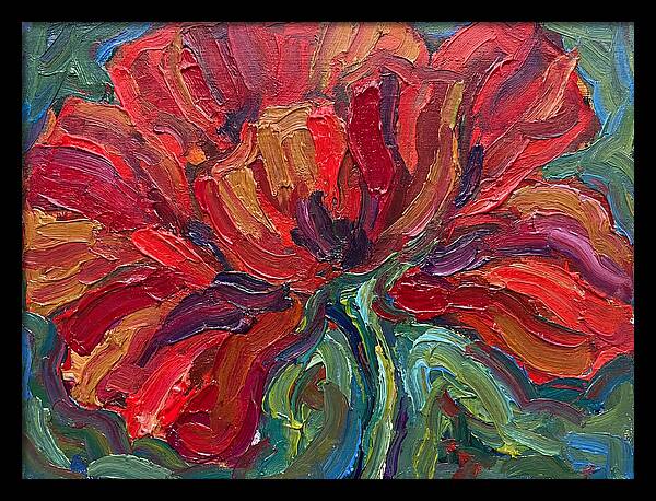 Red Poppy Bloom