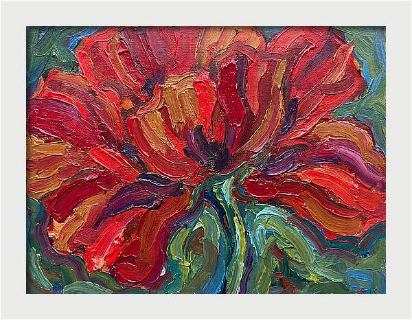 Red Poppy Bloom