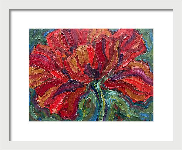Red Poppy Bloom