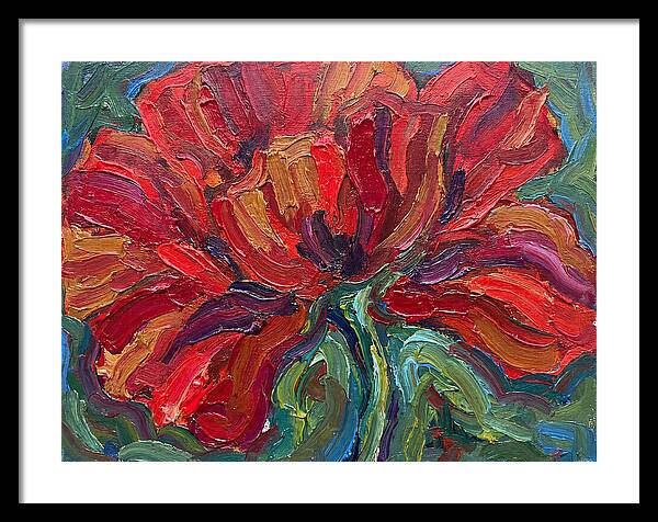Red Poppy Bloom