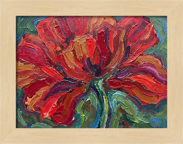 Red Poppy Bloom