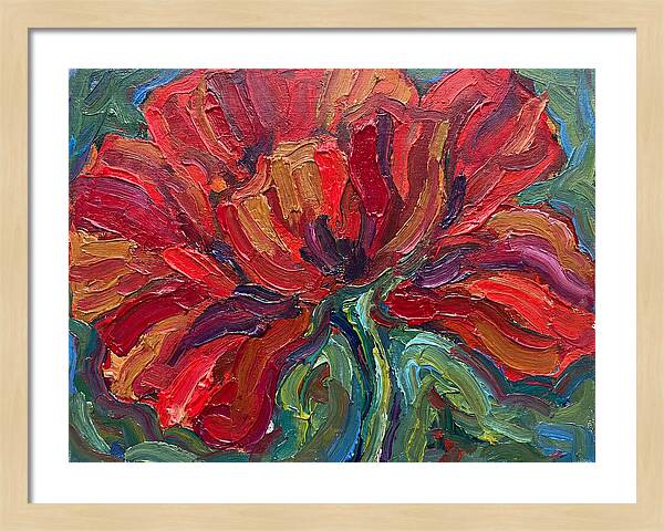 Red Poppy Bloom