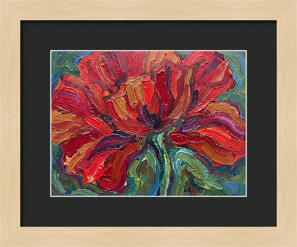Red Poppy Bloom