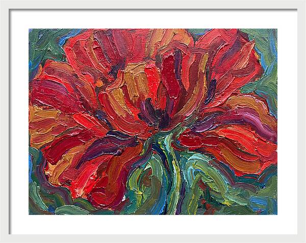 Red Poppy Bloom