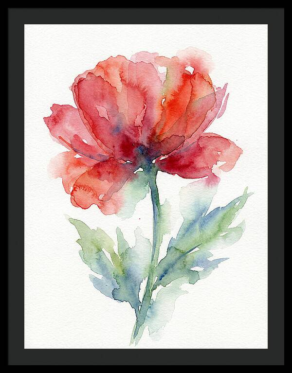 Red Poppy Blossom