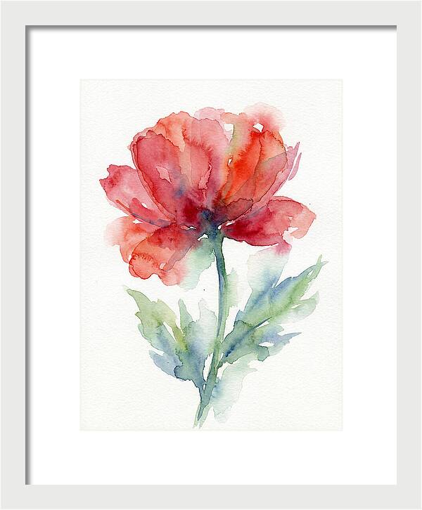 Red Poppy Blossom