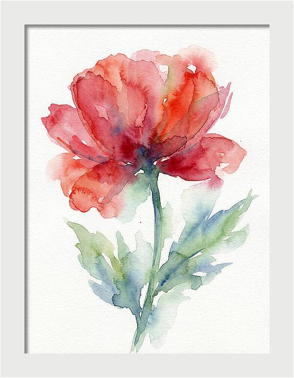 Red Poppy Blossom
