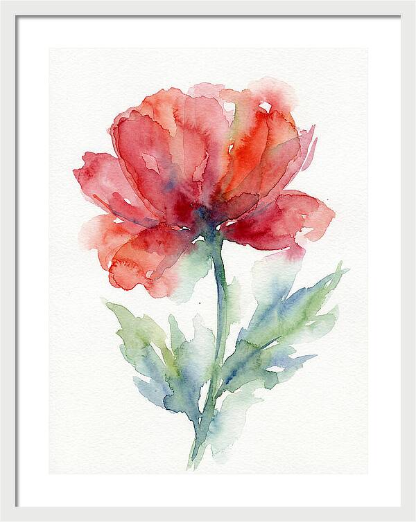 Red Poppy Blossom