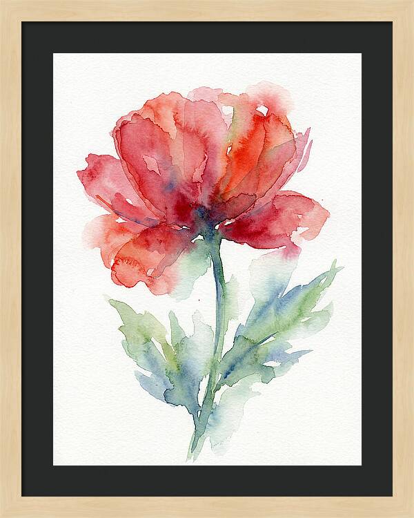 Red Poppy Blossom