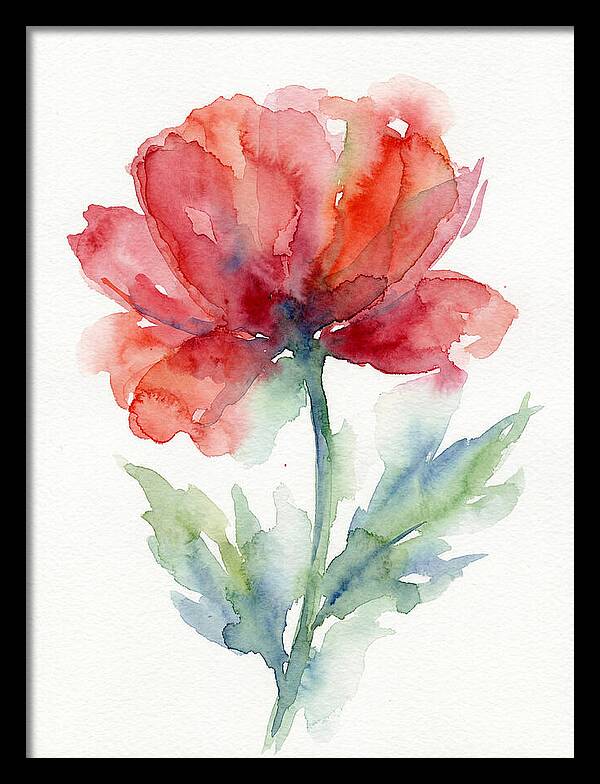 Red Poppy Blossom