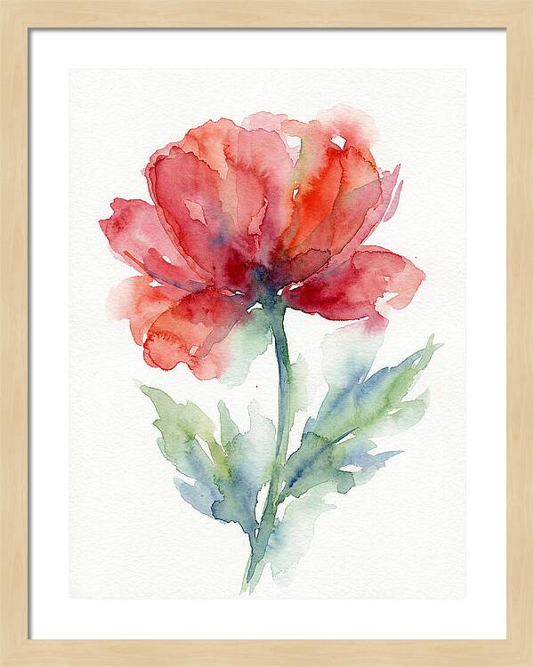 Red Poppy Blossom