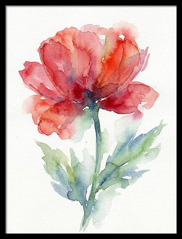 Red Poppy Blossom