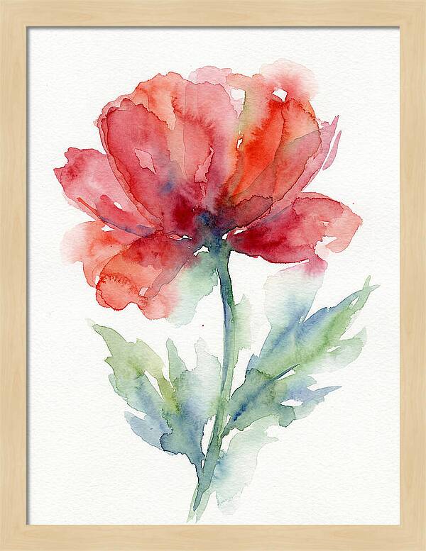 Red Poppy Blossom