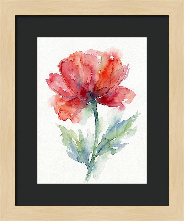 Red Poppy Blossom