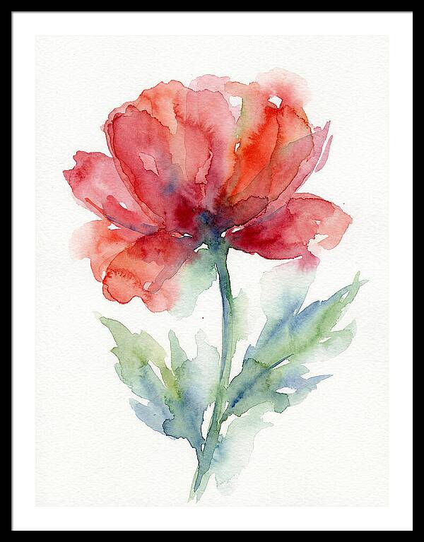 Red Poppy Blossom
