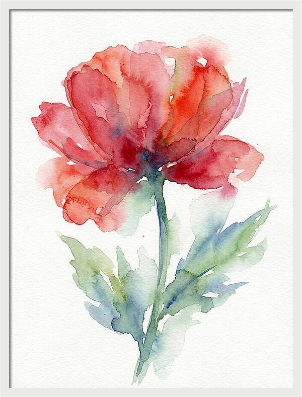 Red Poppy Blossom