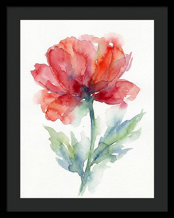 Red Poppy Blossom