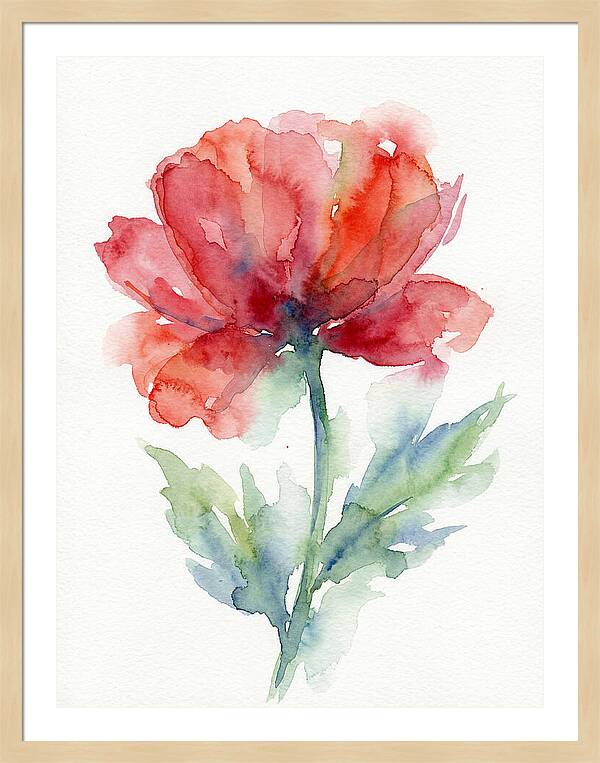 Red Poppy Blossom