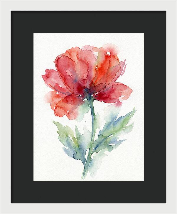 Red Poppy Blossom