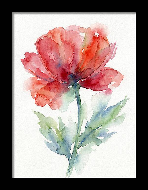 Red Poppy Blossom