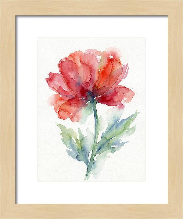 Red Poppy Blossom