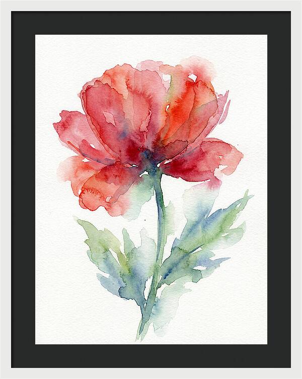 Red Poppy Blossom