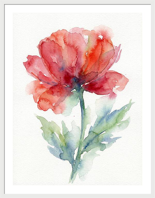 Red Poppy Blossom