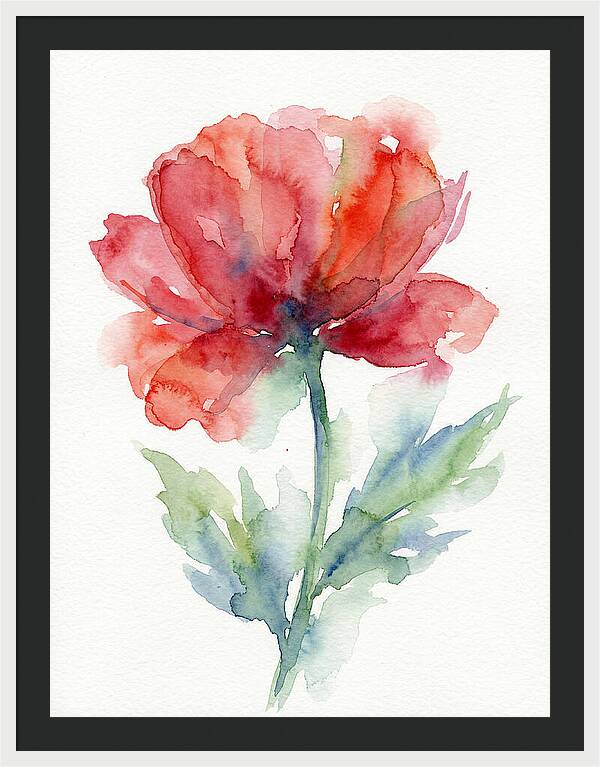 Red Poppy Blossom